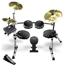Alesis DM10 Pro Kit Professional Electronic Drumset by