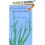 How To Identify Grasses: And Grasslike Plants