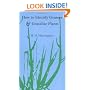 How To Identify Grasses: And Grasslike Plants