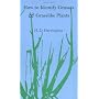 How to Identify Grasses and Grasslike Plants