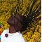 'Must Have' grooves from Africa