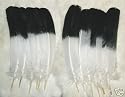 EAGLE FEATHERS, Simulated for Crafts & Native American Indian Ceremonial Tools & Regalia Art, 8 Professionally Sanitized Hand Dyed Rio Grande Tom Turkey Feathers, 12" - 14" Hand Selected Premium Grade