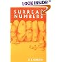Surreal Numbers