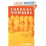 Surreal Numbers
