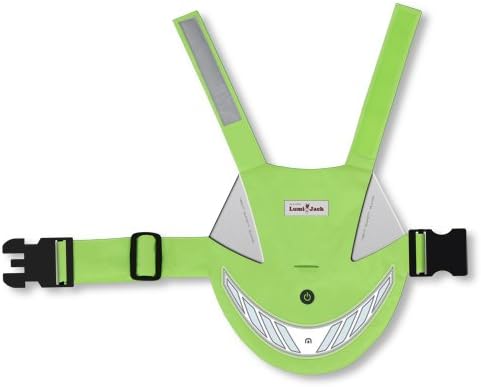 Lighted Pet Vest, X-Large, Lime Green