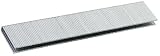 419WQbN Y L. SL160  Bostitch Staples   SX Series   7 32 Crown   5035   1000 QTY   Stainless Steel   1.375in