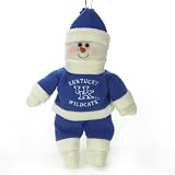 Kentucky Wildcats NCAA Plush Snowflake Friend (10)