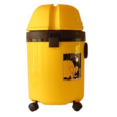 RODAK &quot;CarSpecial 4 30L&quot; Wet and Dry Vacuum Cleaner designed for car interior cleaning.