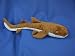 NURSE SHARK PLUSH TOY 17 L