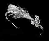 Rhinestone Sparkle Headband with Glistening Feather Bow