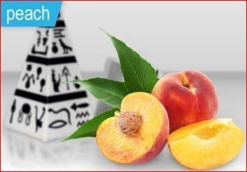 hPen - Electronic Pen With Carrying Case (Peach)