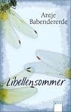 Libellensommer - Antje Babendererde