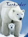 Tierkinder - Die sch&ouml;nsten Bilder junger Wildtiere - Beatrice Fontanel
