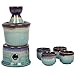 Japanese Style Ceramic Sake Serving Gift Set with Warmer, 7 Pcs, Purple