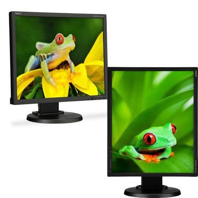 NEC Display Solutions 19 1280x1024 LCD-Black