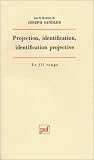 Projection, identification, identification projective