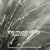 The Music of Life/Joseph Curiale