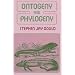 Ontogeny and Phylogeny
