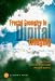 Fractal Geometry in Digital Imaging