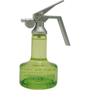 Amazon.com : Best Deal Diesel Green Feminine Perfume by Diesel for women Personal Fragrances Review
