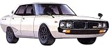 Review Fujimi  / Fujimi - Nissan KPGC-110 GT-R '72