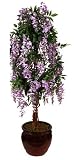 5ft Wisteria with Natural Stem - Purple - Artificial Plant