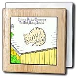 Cat On A Medium Temperature Roof - 6 Inch Tile Napkin Holder