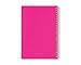 Blue Sky Lianne Pink 5 x 8 Weekly/Monthly Planner, 2017