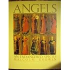 Angels: An Endangered Species by Malcolm Godwin