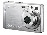 Sony Cybershot DSCW200 12.1MP Digital Camera with 3x Optical Zoom and Super Steady Shot