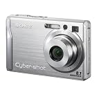 Sony Cybershot DSC-W200 12.1MP Digital Camera with 3x Optical Zoom and Super Steady Shot