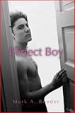 The Perfect Boy (Gay Youth Chronicles)