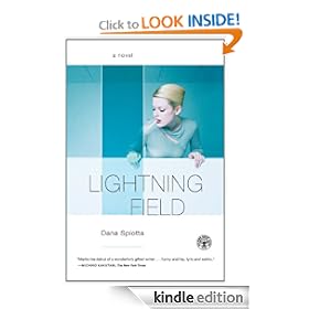 Lightning Field