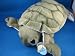 Plush Stuffed Turtle