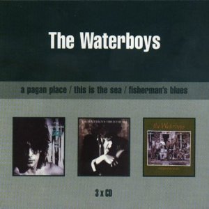 Waterboys - The Whole Of The Moon 1985 Lyrics - Zortam Music