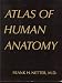 Atlas of Human Anatomy