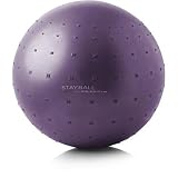 UPC 074345398221 product image for Gold's Gym 55 cm Performance Stayball | upcitemdb.com