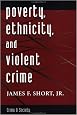 Poverty, Ethnicity, And Violent Crime (Crime and Society)