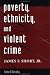 Book Poverty, Ethnicity, And Violent Crime (Crime & Society Series)
