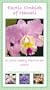 Exotic Orchids of Hawaii 2004 Weekly Appointment Book