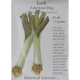 Leek American Flag Heirloom Seeds 175 Seeds
