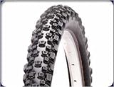 Panaracer: バスター 26X1.95の画像