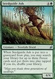 Seedguide Ash