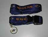 Baltimore Ravens Pet Accessories Set - Medium (6' Leash, Collar, and ID Tag)