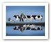 Delta Cows by Lowell Herrero 16"x12" Art Print Poster