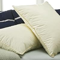 Everloft Lasting Cool Pillow - made with Outlast® Technology