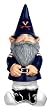 University of Virginia Garden Gnome