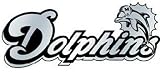 Miami Dolphins NFL Silver Auto Emblem