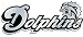 Miami Dolphins NFL Silver Auto Emblem