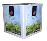 Eden Grove Black Tea, 48-Count Teabags (Pack of 2)